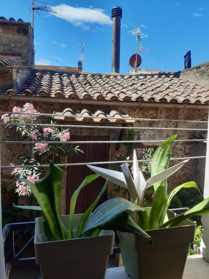 Casa Il Girasole Pitigliano Lejlighed Eksteriør billede