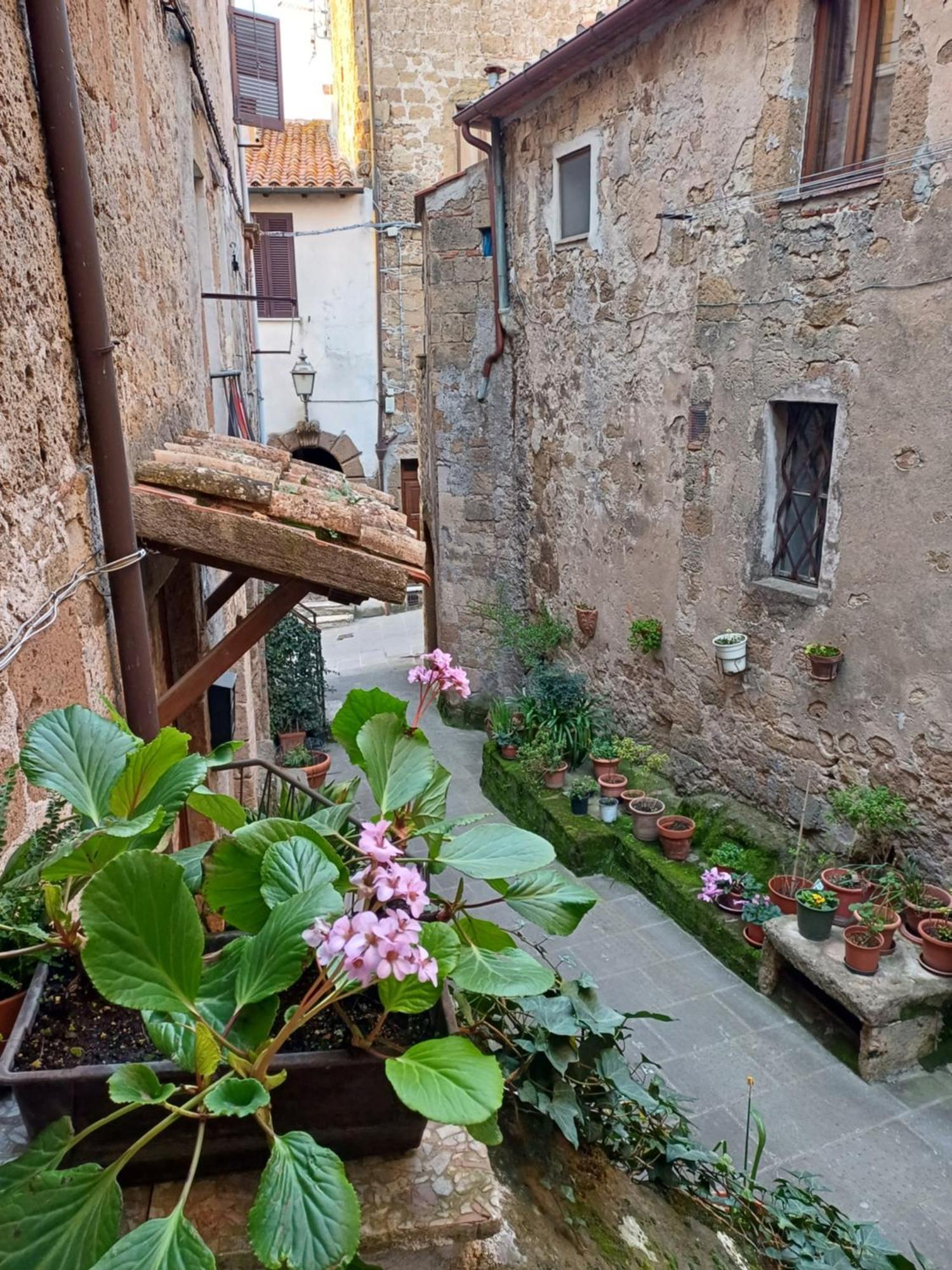 Casa Il Girasole Pitigliano Lejlighed Eksteriør billede
